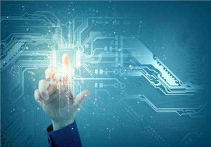 吳中區(qū)口碑佳、價(jià)格優(yōu)的系統(tǒng)開發(fā)與互聯(lián)網(wǎng)信息技術(shù)服務(wù)